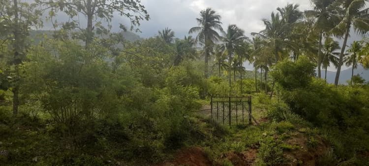 6.5 Acres Land for Sale