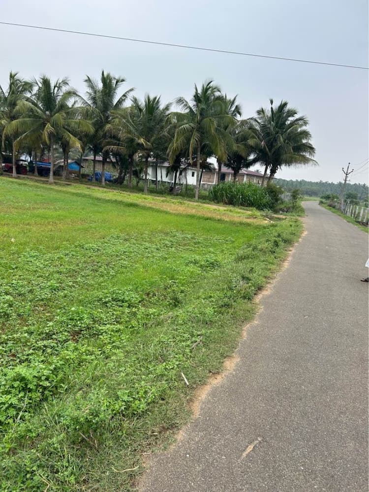 40 Cent Farm Land for Sale