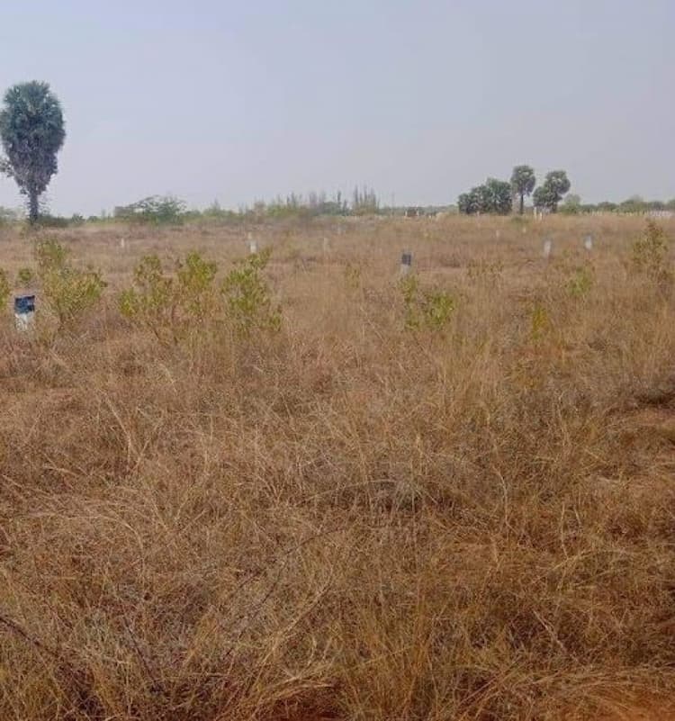 Plot sale
