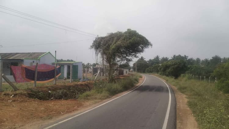 Single Property Image