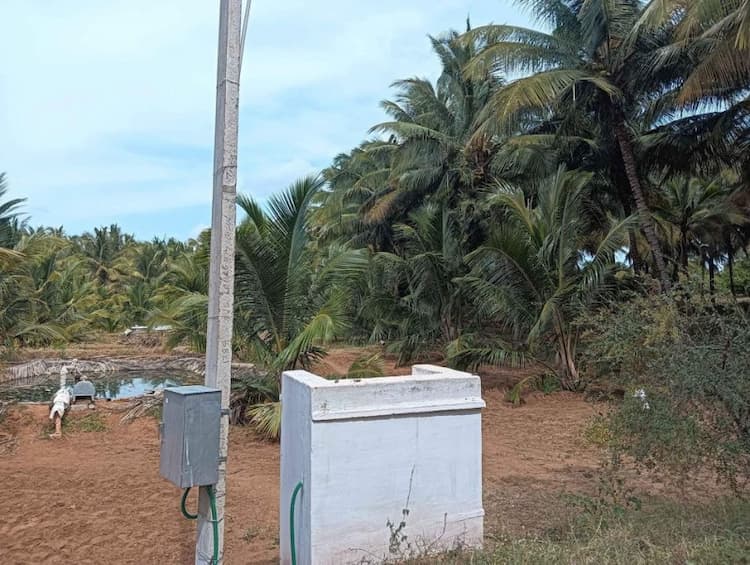 coconut thoppu for sale