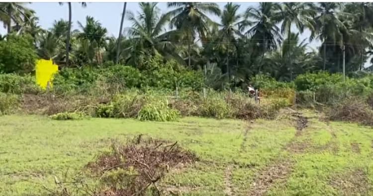 plot for sale 