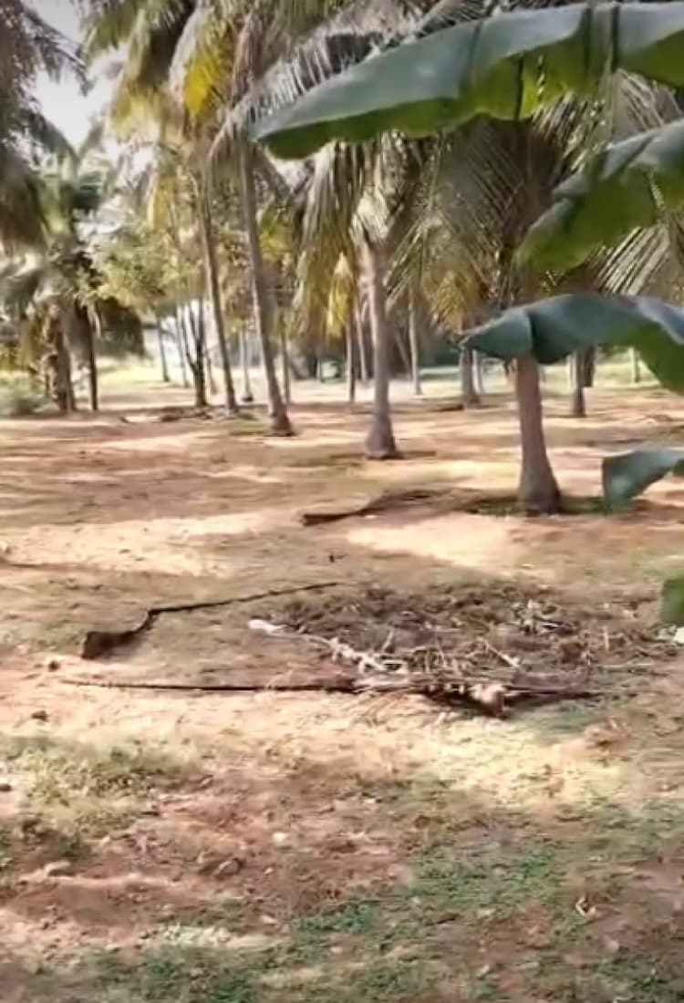 10 Acre land for sales