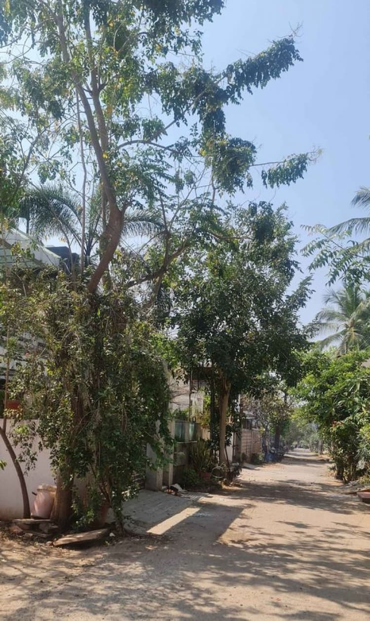 Single Property Image