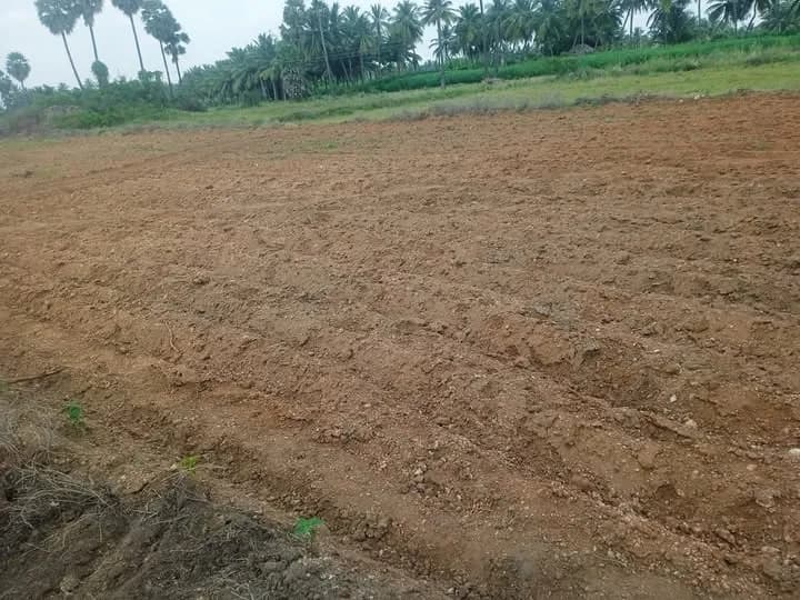 Land for sales