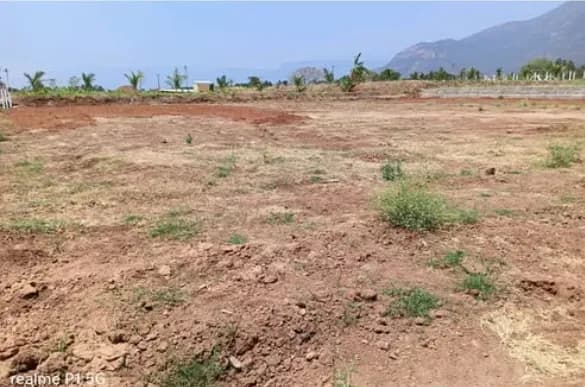 Land for sales