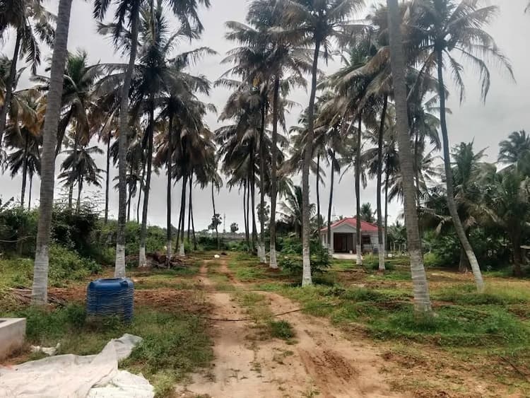 Single Property Image