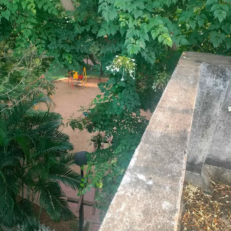 Single Property Image