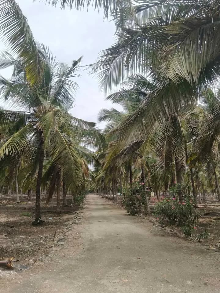 4.5 acre Plot