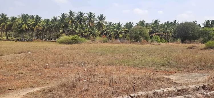 1.10 acre Plot