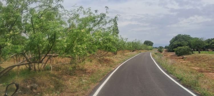 Single Property Image