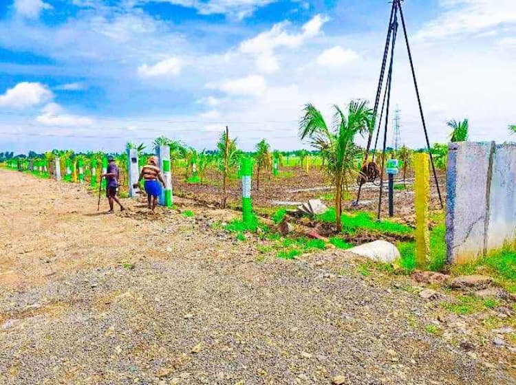 Single Property Image