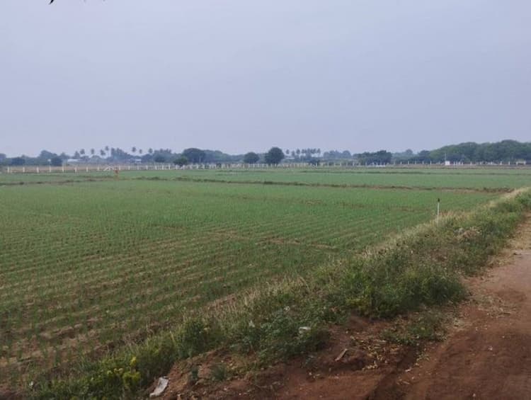 Farm Land For Sales