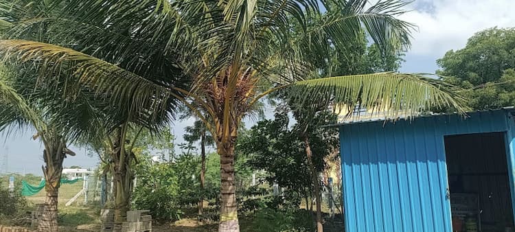 Single Property Image