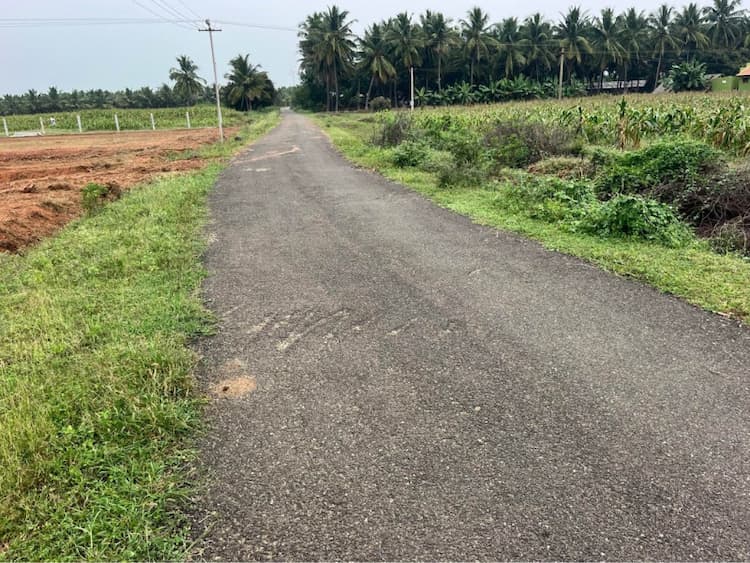 50 Cent Land for Sale