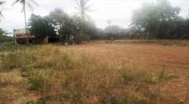 Single Property Image