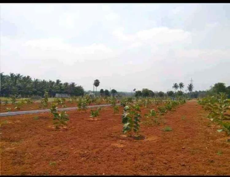farm land for sale