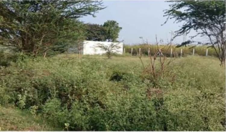 25 Cent Land for Palladam