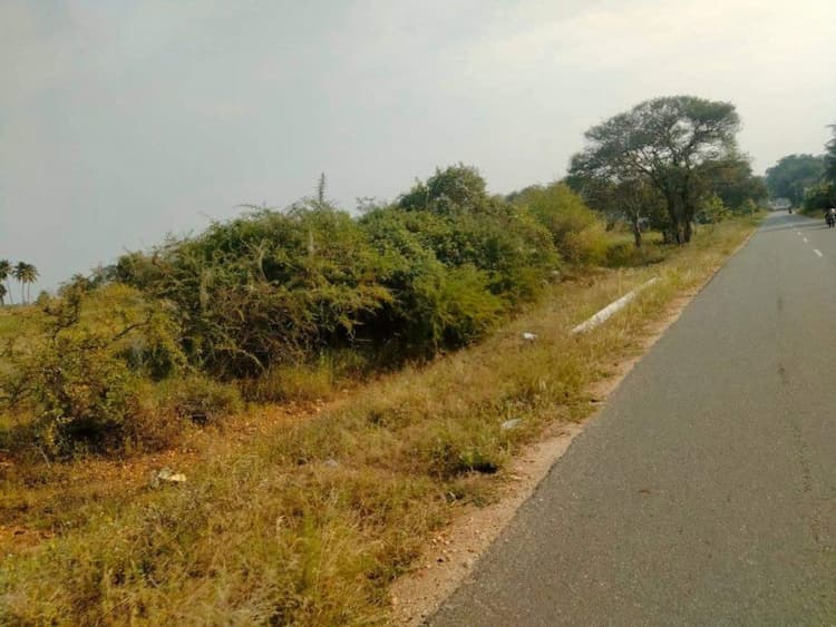 35 Cents Main Road Face Land for Sale