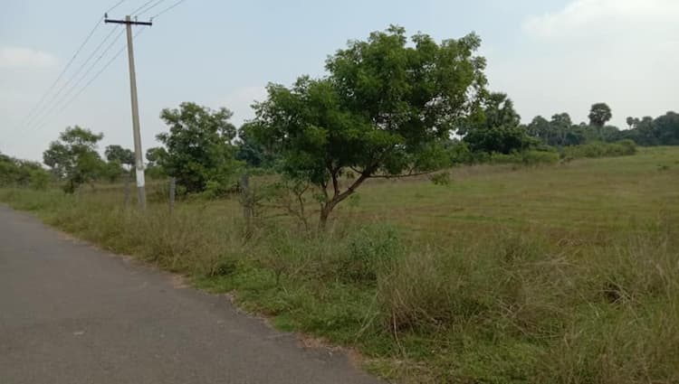 Single Property Image