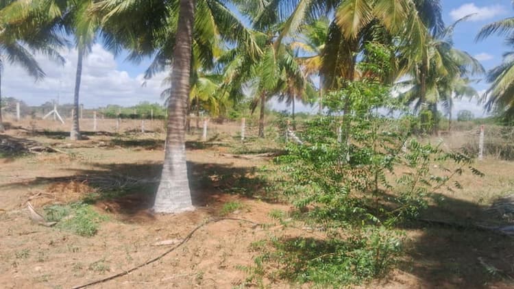 Farm Land with 3 Poultry Farm and House for Sale