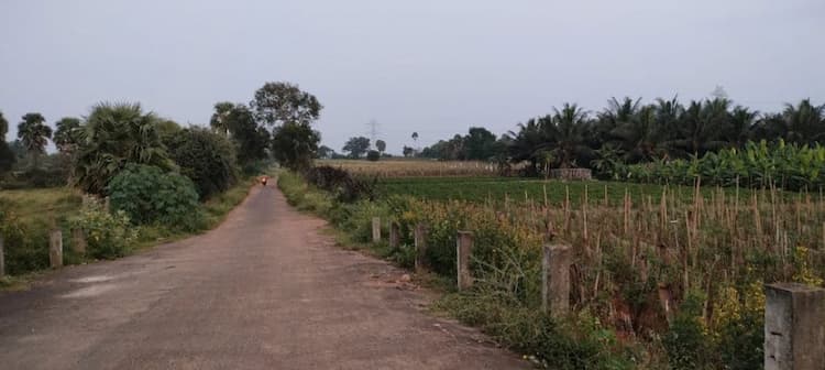 Single Property Image