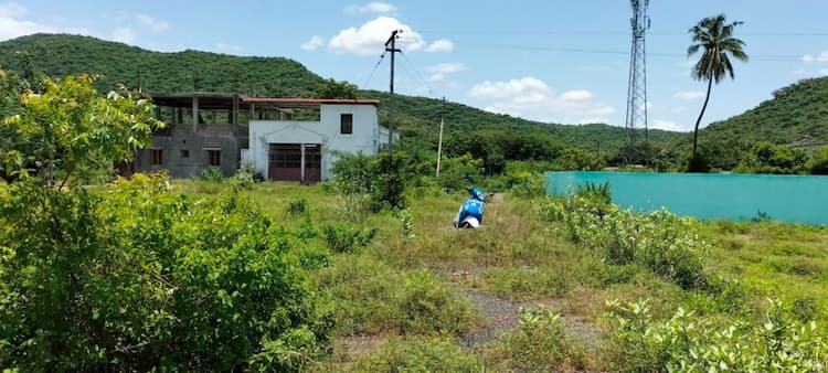 Single Property Image