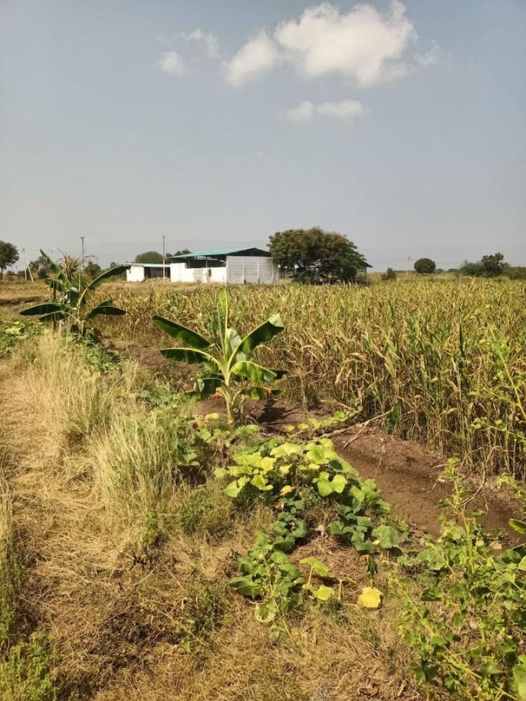 Single Property Image