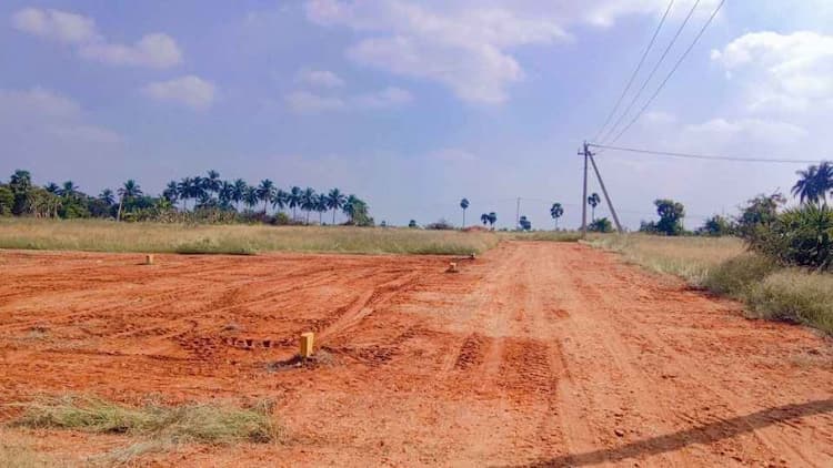 Single Property Image