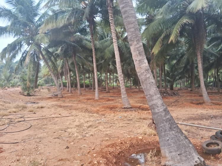 5 Acre Farm Land for Sale