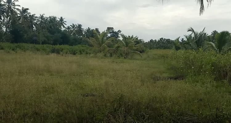 Land for sales