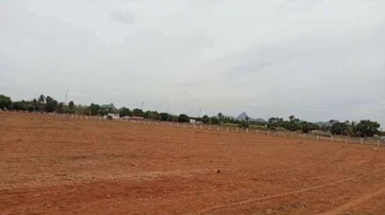 Land for sales
