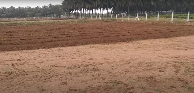 3 Acre Land for Sale