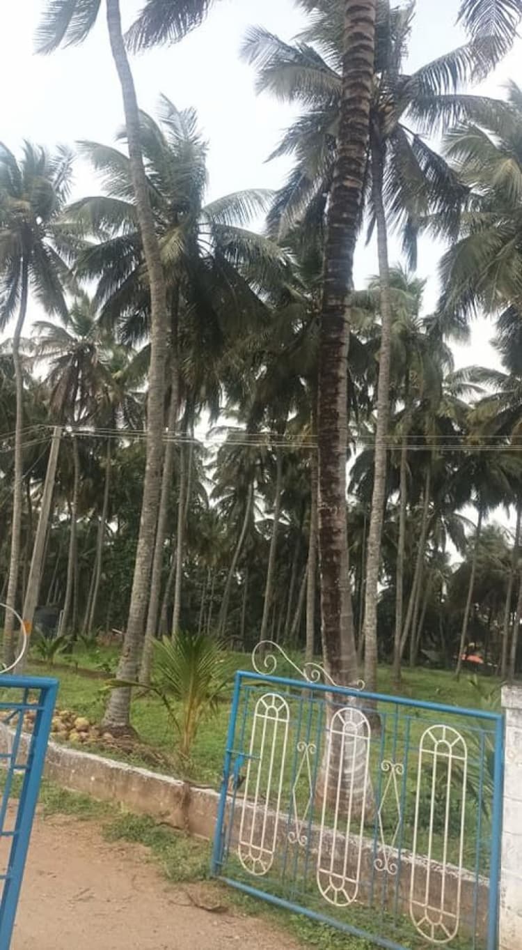 Single Property Image