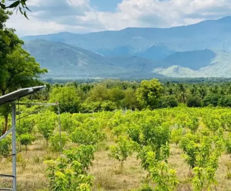 Single Property Image