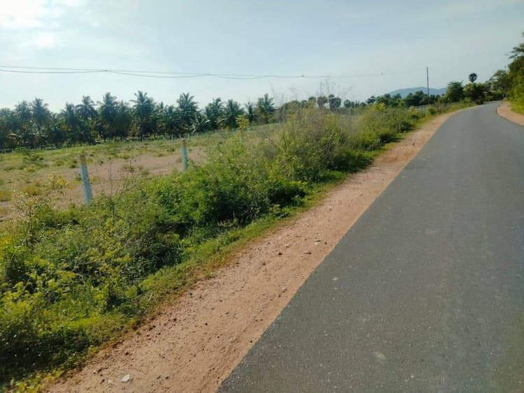 1.25 ACRE LAND SALES AT VIJAYAMANGALAM NEAR NADUPATTI