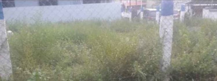 1.50 cent land for sales