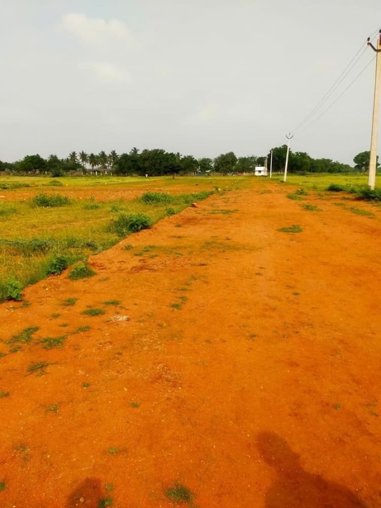 Single Property Image