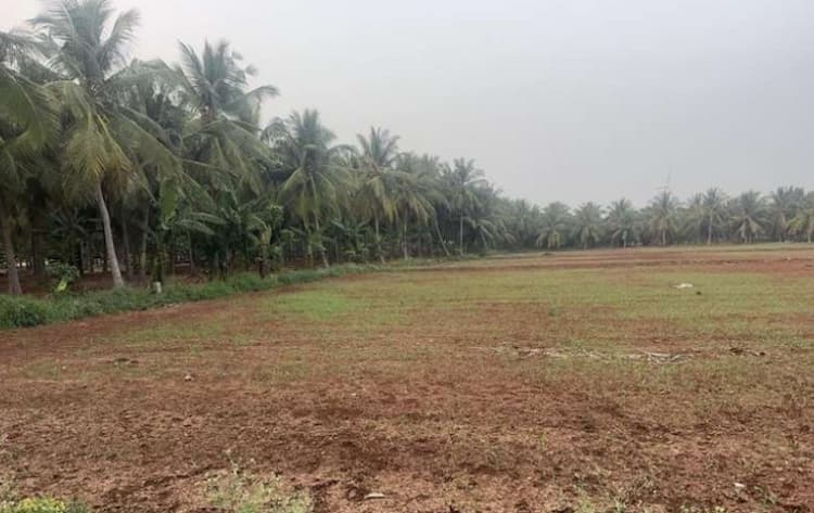 Farm Land For Sale