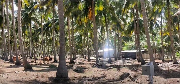 Single Property Image