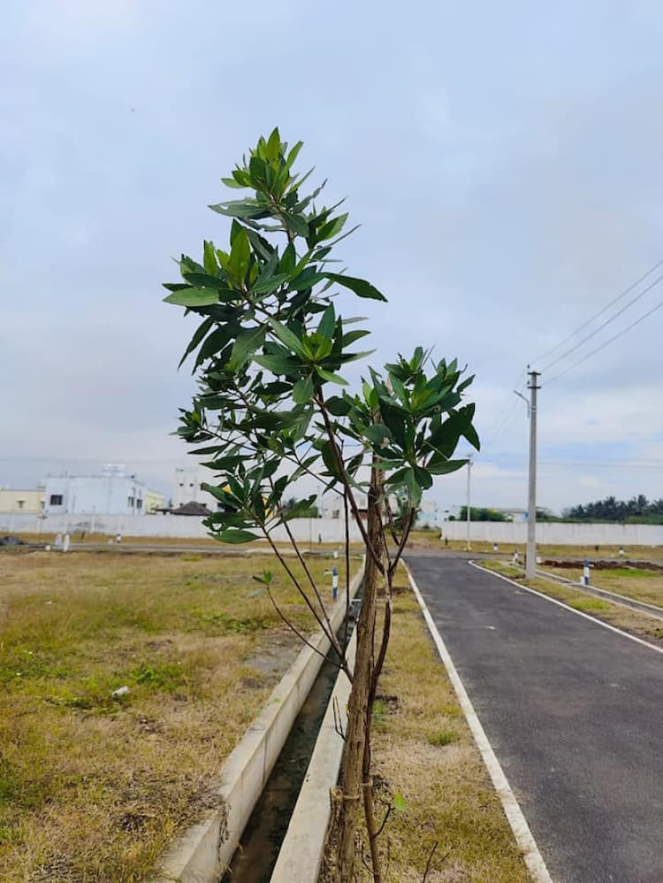 Single Property Image