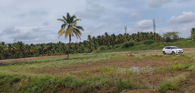 Single Property Image