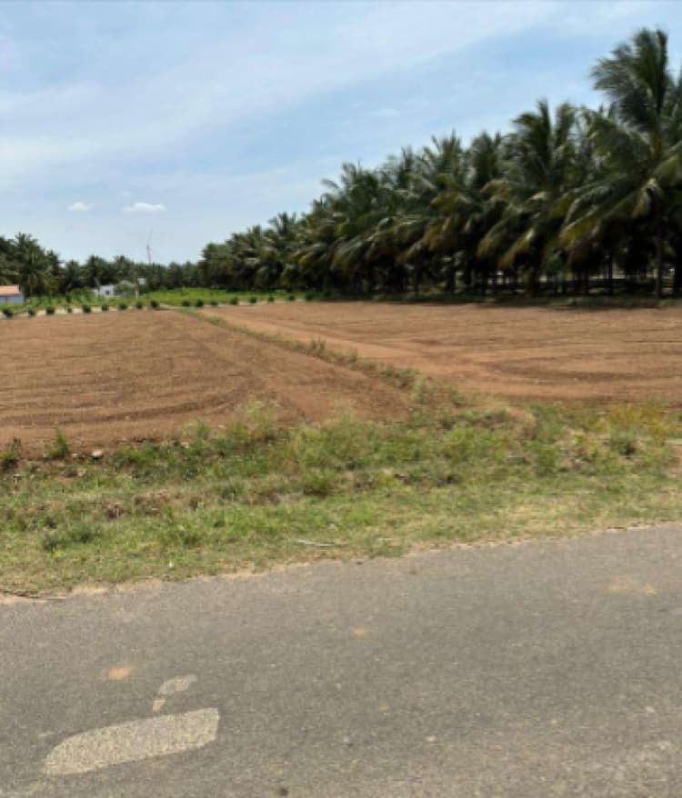 1 Acre Land for Sale in Periapatti