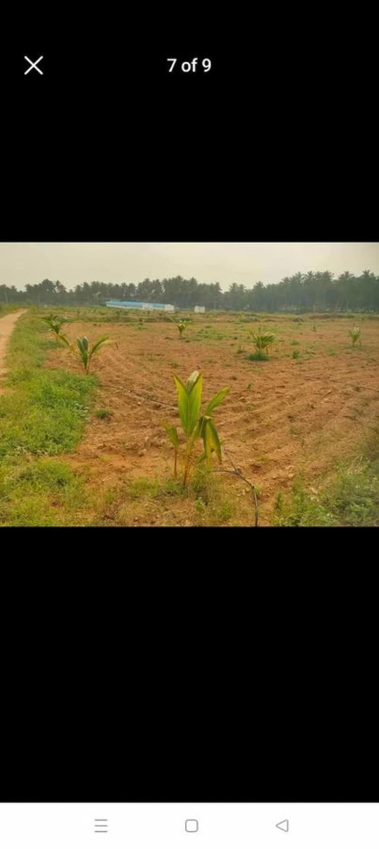 3.36 Acre with young coconut tress in Karatholuvu