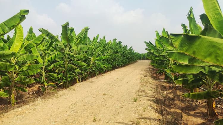 8 Acre Land for Sale