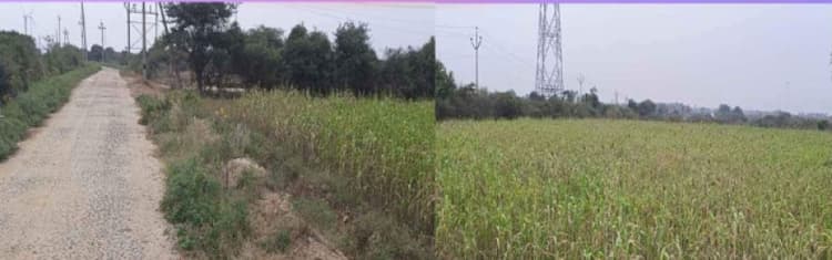 3.75 Acre Land for Sale in Dharapuram