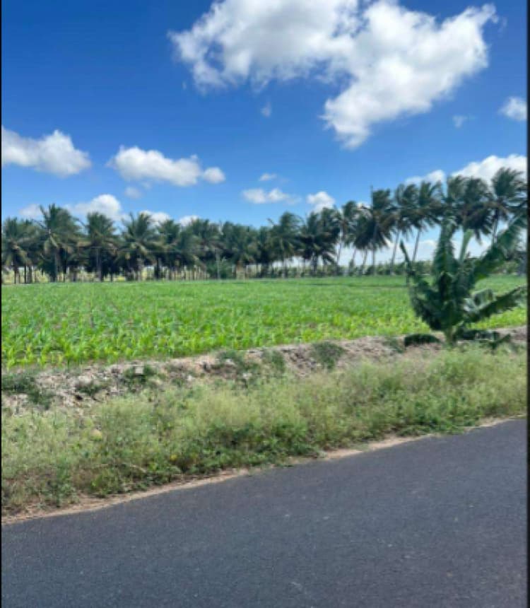 2 Acre Land Near Tirupur Bypass