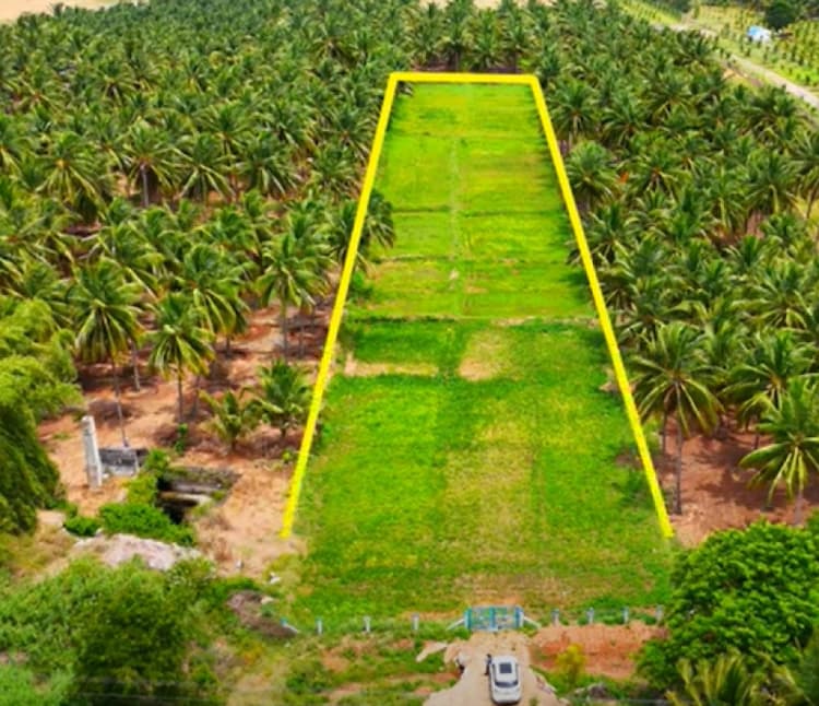 Single Property Image