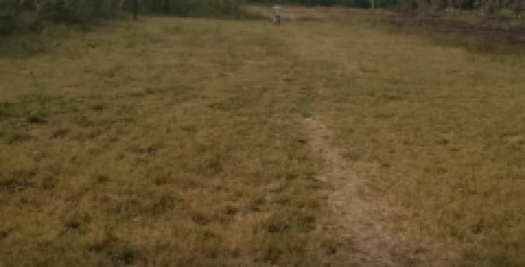 21 cent land for sales