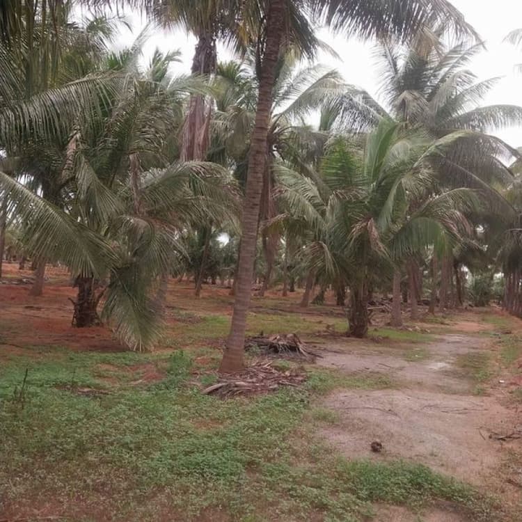 Single Property Image